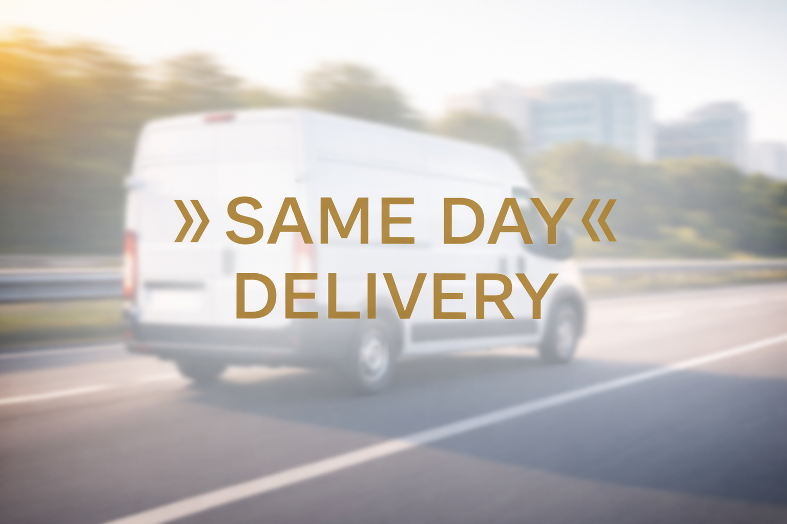 Same Day Delivery